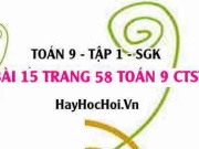 Bài 15 trang 58 Toán 9 tập 1 Chân trời sáng tạo